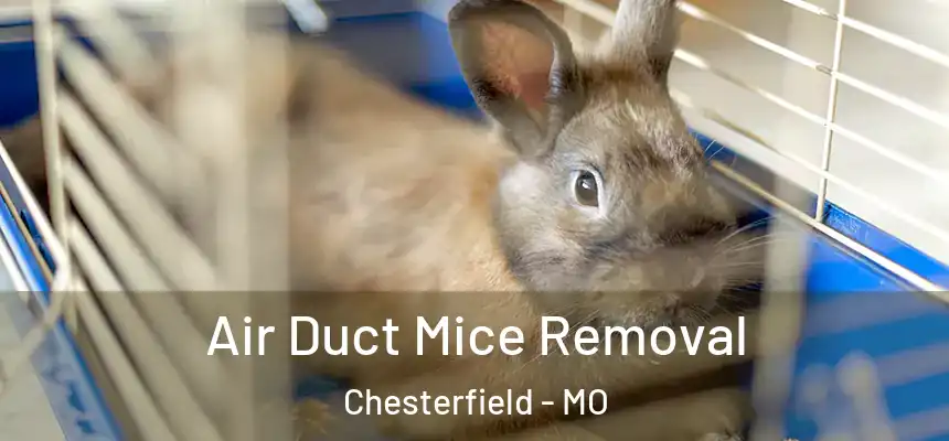 Air Duct Mice Removal Chesterfield - MO
