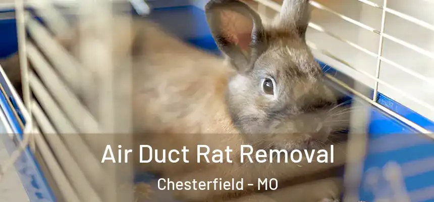  Air Duct Rat Removal Chesterfield - MO