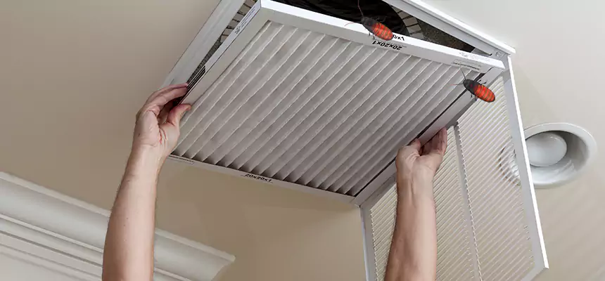 Preventive Cockroach-Proofing for Ducts in Chesterfield