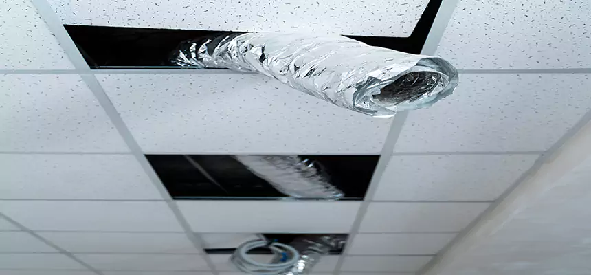 Our Air Duct Pet Hair Removal Services in Chesterfield, MO