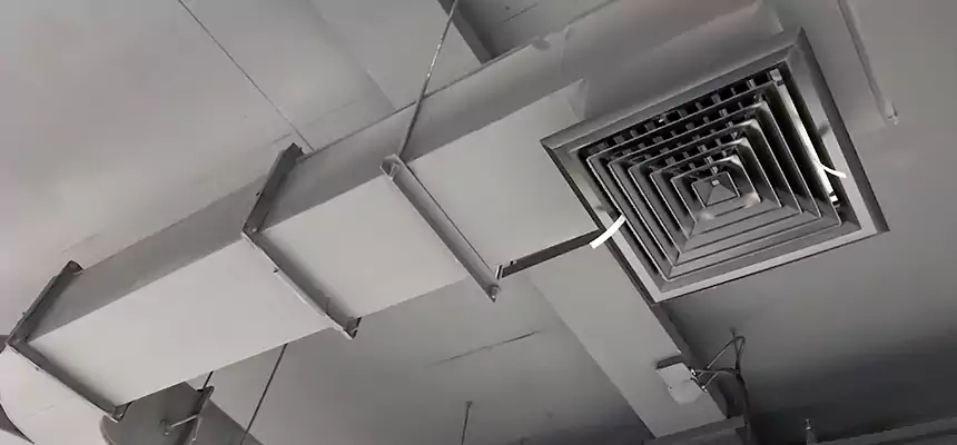 Restorative Allergy Relief Vent Cleaning – Coil, Blower & Housing Detail in Chesterfield