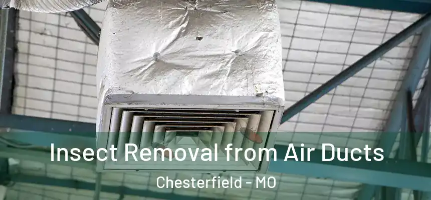  Insect Removal from Air Ducts Chesterfield - MO