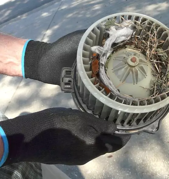 About Air Duct Mice Removal in Chesterfield, MO